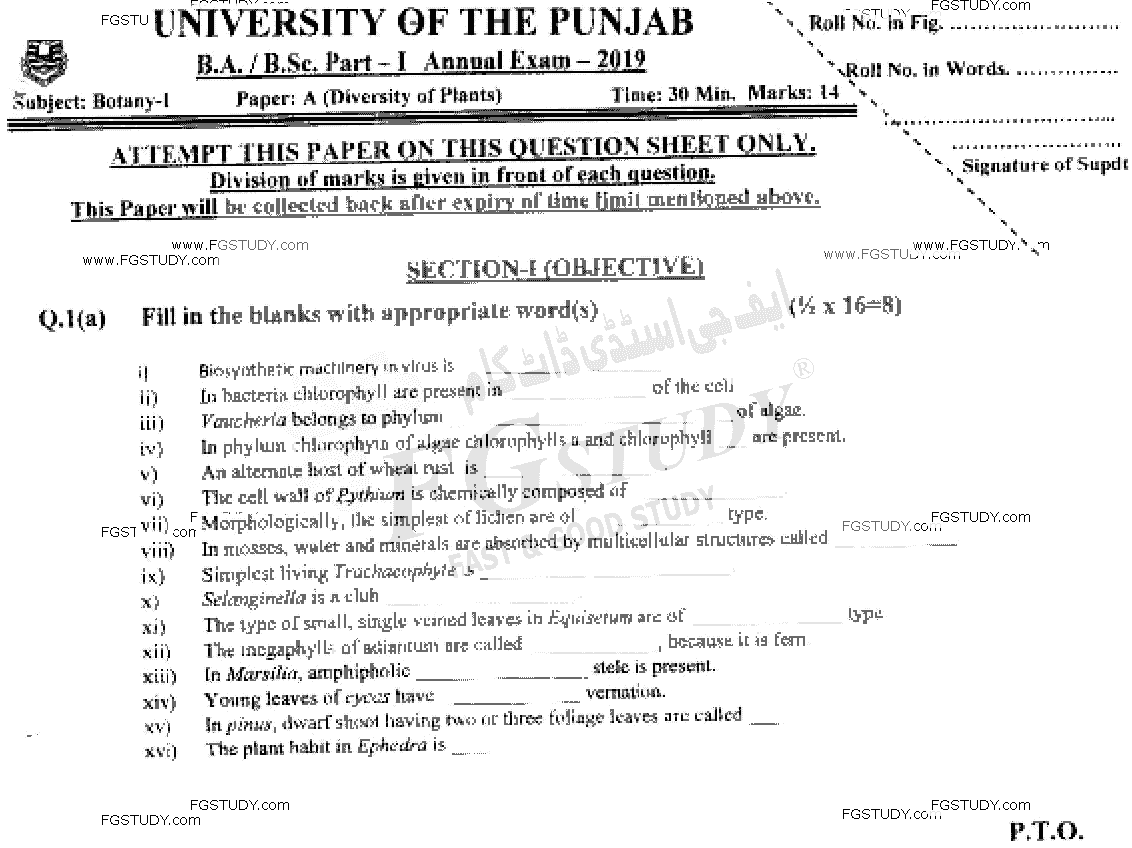 BSc Part 1 Botany 1 Diversity Of Plants Past Paper 2019 Punjab University Objective