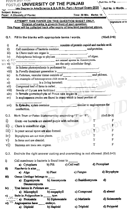 BSc Part 1 Botany 1 Diversity Of Plants Past Paper 2020 Punjab University Objective