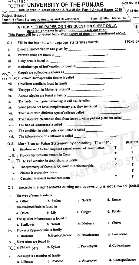 BSc Part 1 Botany 1 Plant Systematics Anatomy And Development Past Paper 2020 Punjab University Objective
