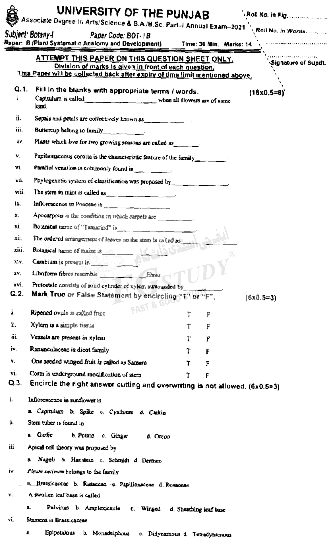 BSc Part 1 Botany 1 Plant Systematics Anatomy And Development Past Paper 2021 Punjab University Objective