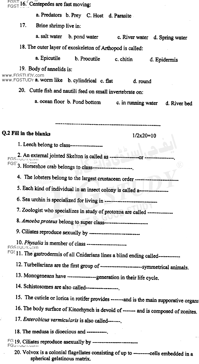 BSc Part 1 Zoology 1 Invertebrates Diversity Past Paper 2016 Punjab University Objective