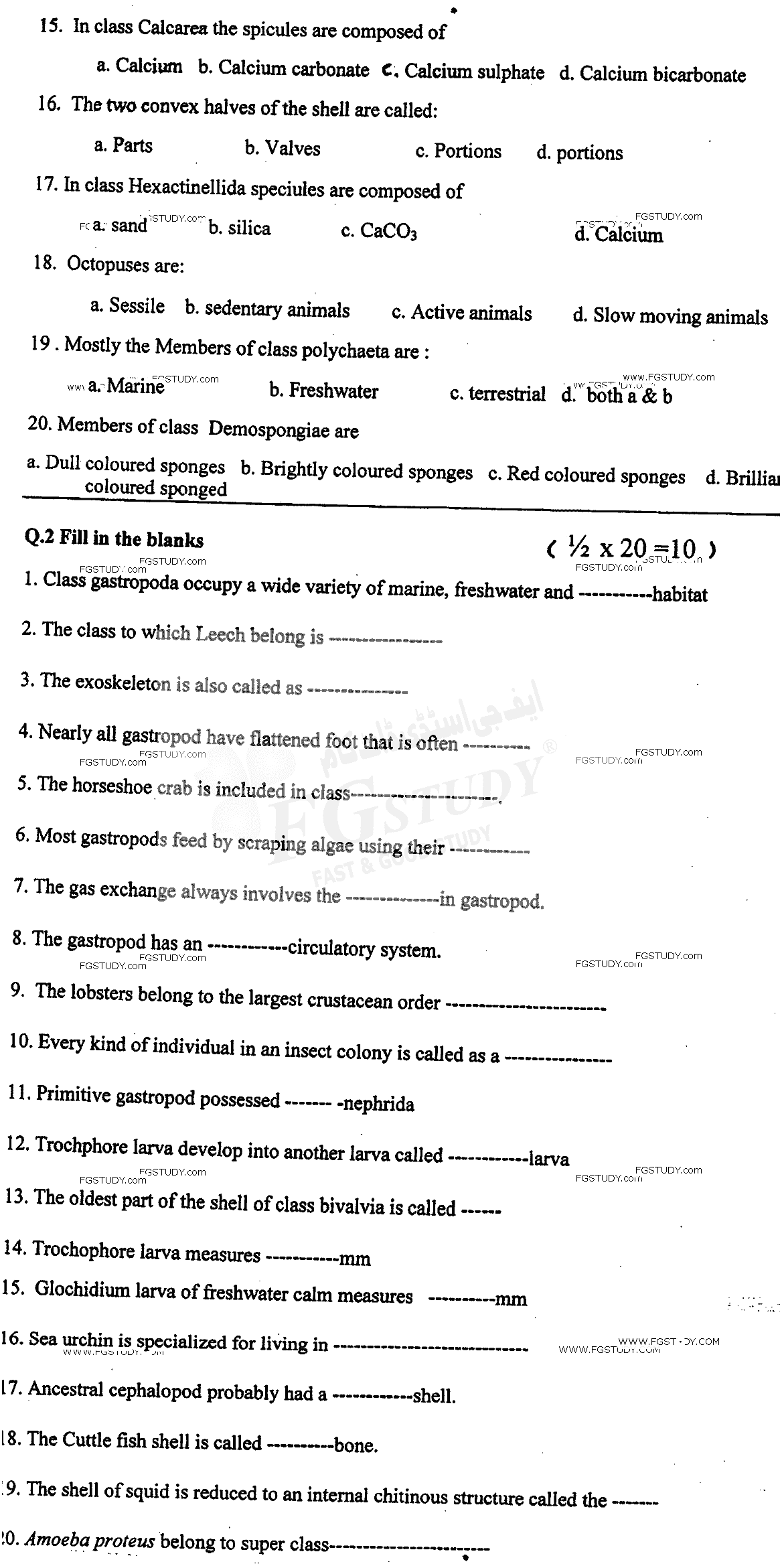 BSc Part 1 Zoology 1 Invertebrates Diversity Past Paper 2017 Punjab University Objective