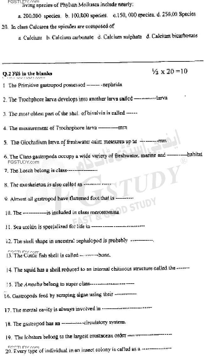 BSc Part 1 Zoology 1 Invertebrates Diversity Past Paper 2019 Punjab University Objective