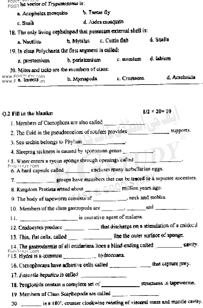 BSc Part 1 Zoology 1 Invertebrates Diversity Past Paper 2019 Punjab University Objective