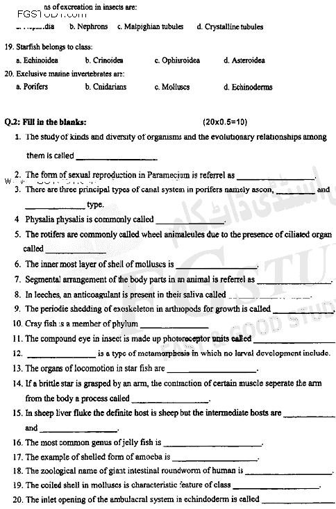 BSc Part 1 Zoology 1 Invertebrates Diversity Past Paper 2020 Punjab University Objective