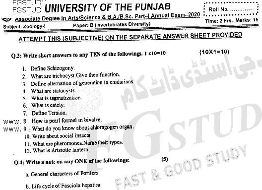 BSc Part 1 Zoology 1 Invertebrates Diversity Past Paper 2020 Punjab University Subjective