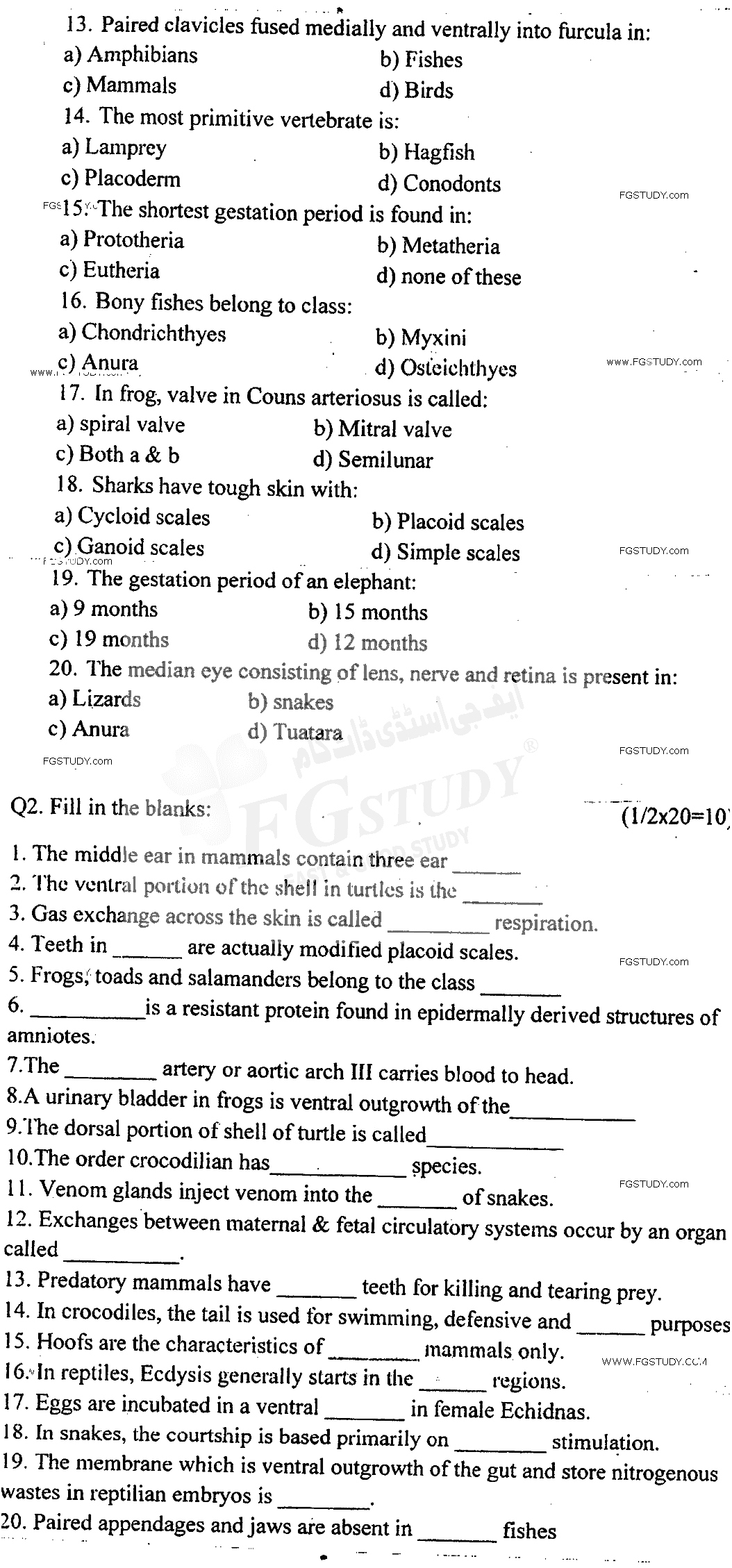 BSc Part 2 Zoology 2 Chordates Diversity Past Paper 2017 Punjab University Objective