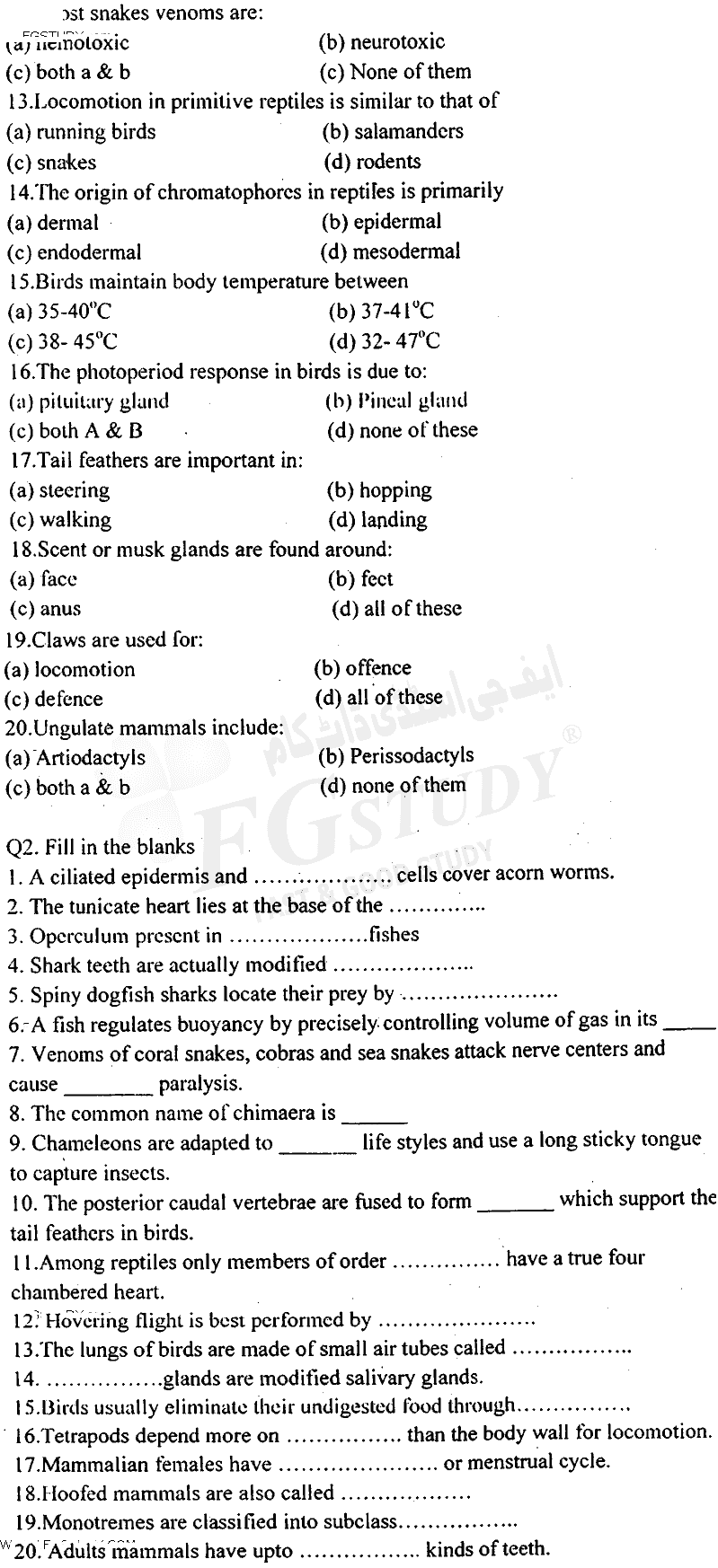 BSc Part 2 Zoology 2 Chordates Diversity Past Paper 2017 Punjab University Objective