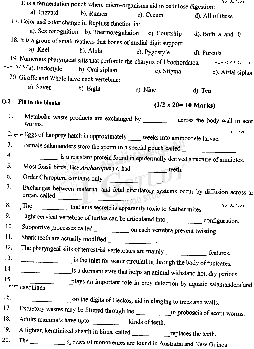 BSc Part 2 Zoology 2 Chordates Diversity Past Paper 2018 Punjab University Objective