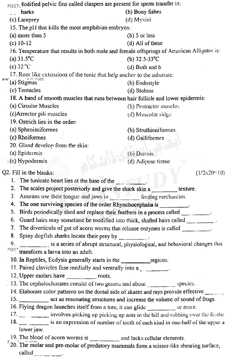 BSc Part 2 Zoology 2 Chordates Diversity Past Paper 2018 Punjab University Objective
