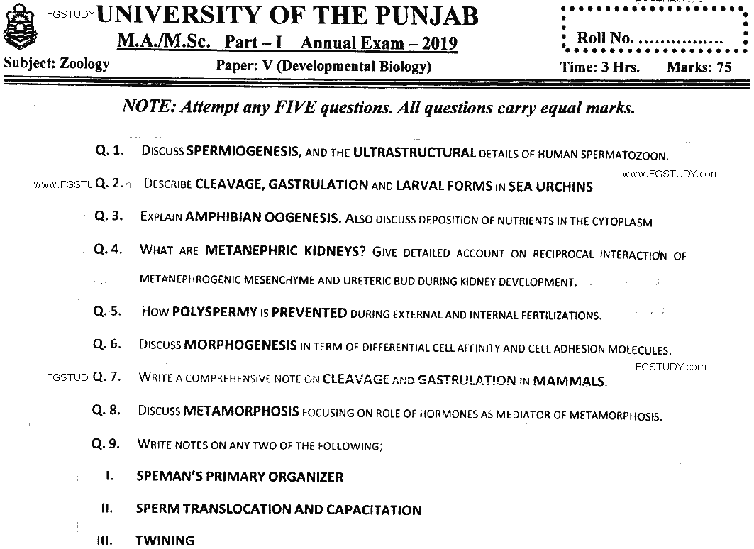 MSc Part 1 Zoology Developmental Biology Past Paper 2019 Punjab University Subjective