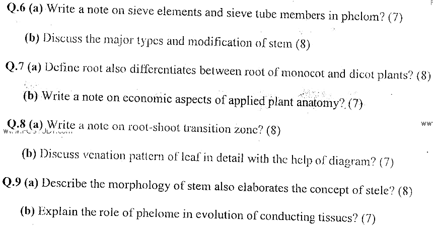 MSc Part 2 Botany Advance Plant Anatomy Past Paper 2019 Punjab University Subjective