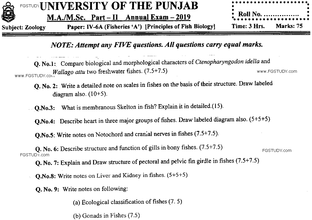 MSc Part 2 Zoology Principles Of Fish Biology Past Paper 2019 Punjab University Subjective