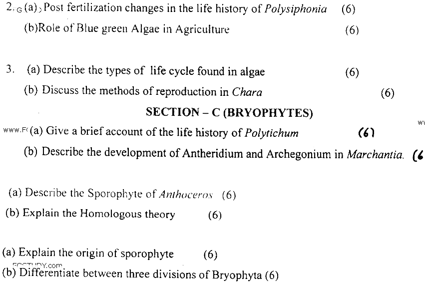 MSc Part 1 Botany Microbiology Phycology And Bryology Past Paper 2019 Punjab University Subjective