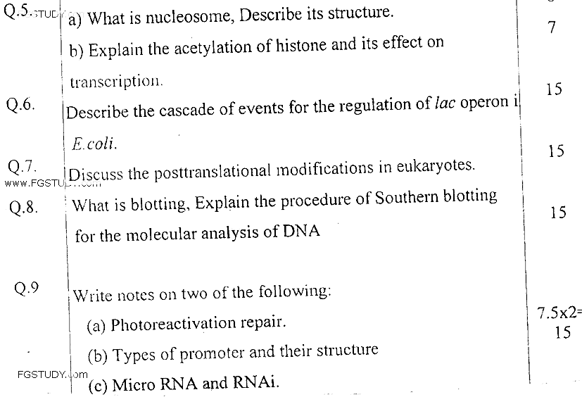 MSc Part 2 Zoology Molecular Biology Past Paper 2019 Punjab University Subjective